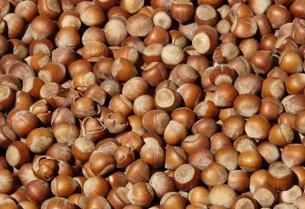 Rekabet Kurulu'ndan Ferrero'ya fındıkta '2025 revizyonu