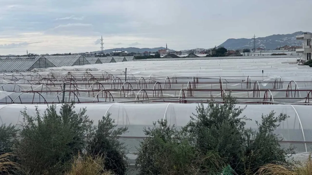 Antalya'da kuvvetli sağanak : Seralarda büyük hasar oluştu haberinin görseli