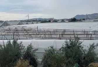 Antalya'da kuvvetli sağanak : Seralarda büyük hasar oluştu