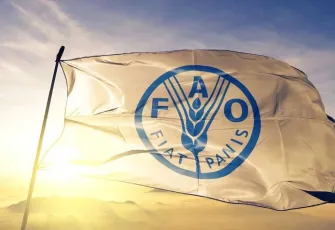 Dünyada gıda fiyatları ekimde geriledi