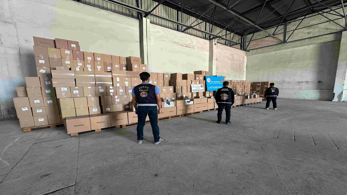 Gümrük operasyonlarında 51 milyon makaron ele geçirildi haberinin görseli