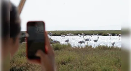 İzmir’de doğa ve lezzet tutkunlarını buluşturacak etkinlik 