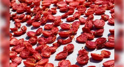 Kuru domates Türkiye’ye dünya ikinciliği getirdi! 