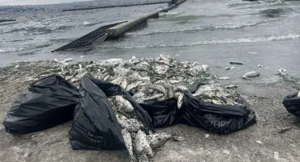 İzmir Körfezi’nde Deniz Kirliliği devam ediyor