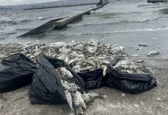 İzmir Körfezi’nde Deniz Kirliliği devam ediyor