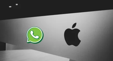 WhatsApp’ta olay yaratan hamle: "@apple" kullanıcı adı bir Türk’ün oldu!