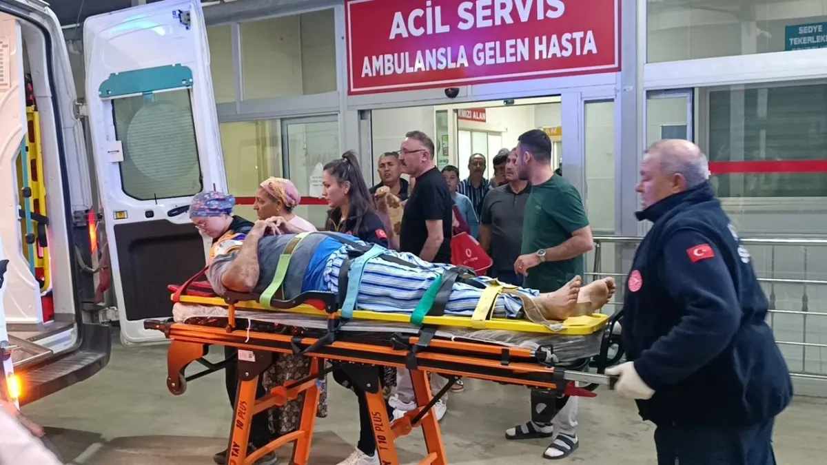 Zeytin toplarken düştü: Durumu ağır! haberinin görseli