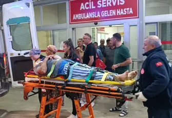 Zeytin toplarken düştü: Durumu ağır!