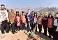 AK Parti İzmir’den Yeşil Hamle: 23 yılda 74 milyon fidan toprakla buluştu