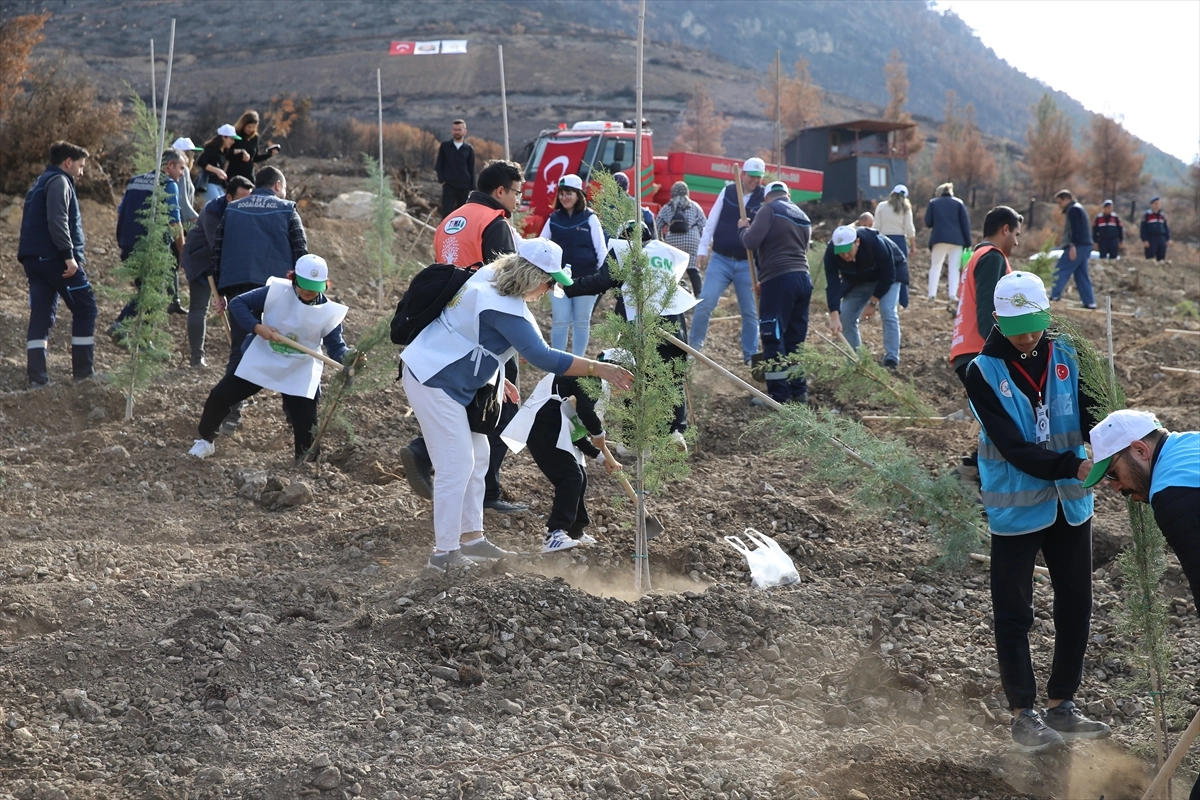 İzmir ve Çevre İllerinde Binlerce Fidan Toprakla Buluştu başlıklı video haberin görseli