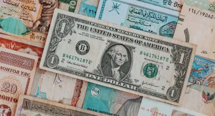 Şaşırtan tasarruf haritası: Küçük iller dövizle yarışıyor