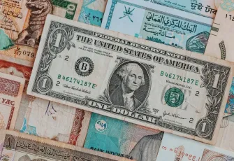 Şaşırtan tasarruf haritası: Küçük iller dövizle yarışıyor