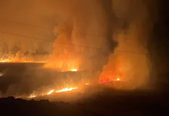 Yüksekova'daki Nehil Sazlığı yanıyor