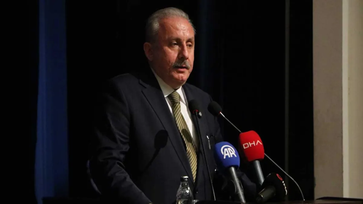 Şentop'tan dikkat çekici tespit: Üniversiteyi bitirme aşaması evlenme yaşını yükseltiyor haberinin görseli