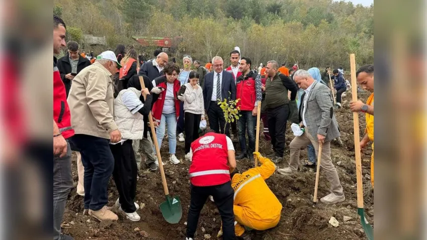 AKAF, Türkiye genelinde ağaçlandırma çalışmalarıyla çevreye katkı sağlıyor haberinin görseli