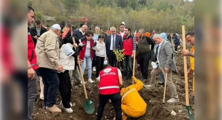AKAF, Türkiye genelinde ağaçlandırma çalışmalarıyla çevreye katkı sağlıyor