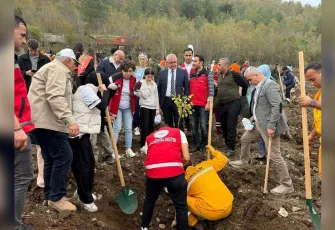 AKAF, Türkiye genelinde ağaçlandırma çalışmalarıyla çevreye katkı sağlıyor