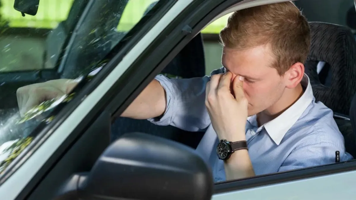 Bu ağaçların altına park edilen otomobiller renk değiştiriyor! Araçlar pembeye döndü haberinin görseli
