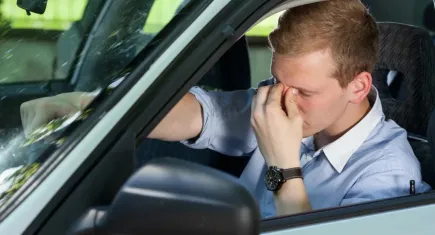 Bu ağaçların altına park edilen otomobiller renk değiştiriyor! Araçlar pembeye döndü