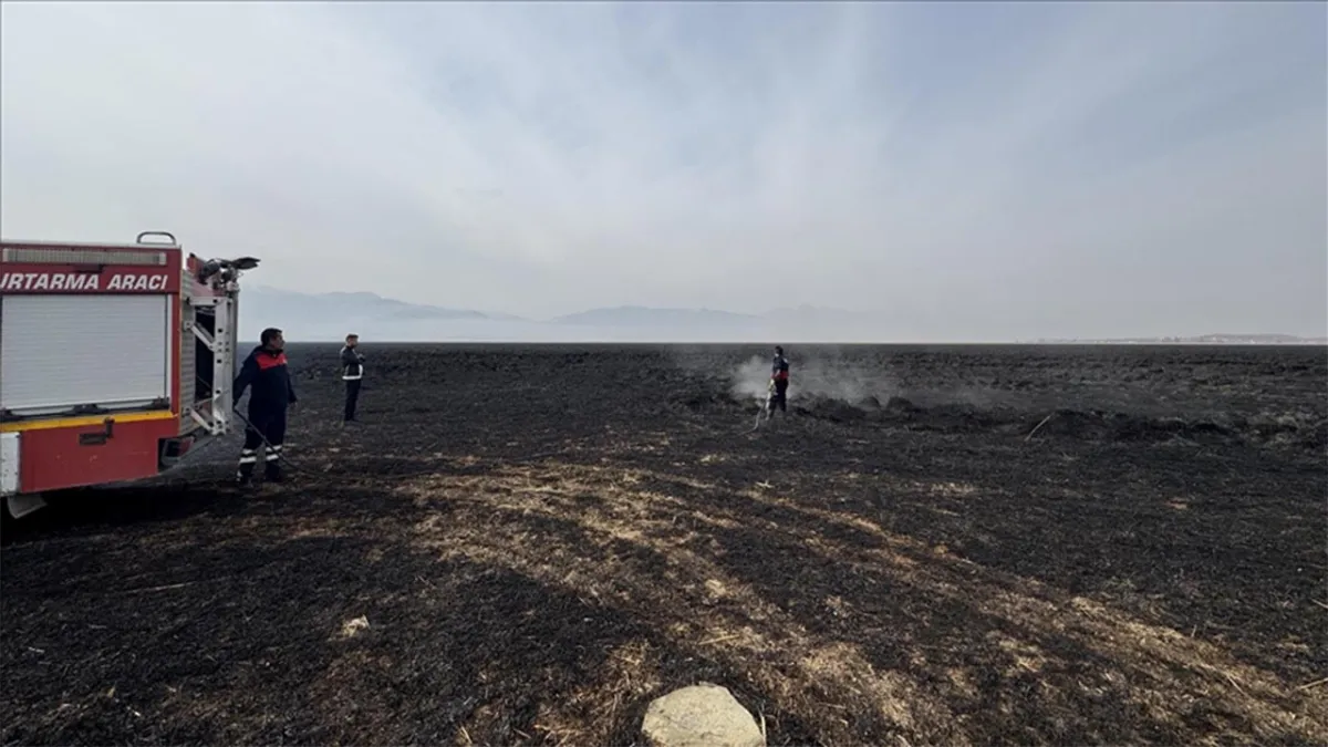 Hakkari'nin Nehil Sazlığı'ndaki yangın 6 gün süren mücadele sonunda söndürüldü haberinin görseli