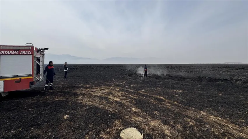 Hakkari'nin Nehil Sazlığı'ndaki yangın 6 gün süren mücadele sonunda söndürüldü