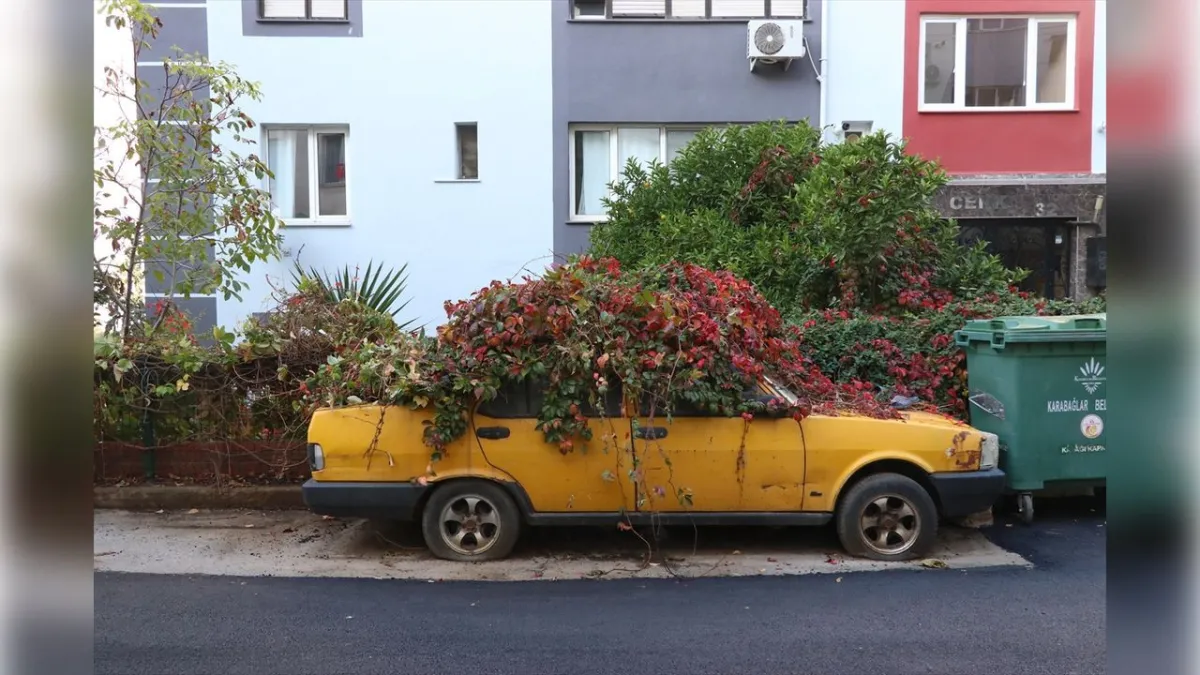 İzmir'deki bu araba 8 yıldır kıpırdamadı haberinin görseli