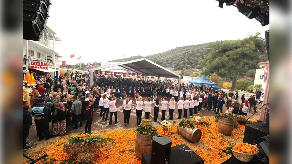 Menderes Mandalina Festivali haberinin görseli