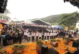 Menderes Mandalina Festivali