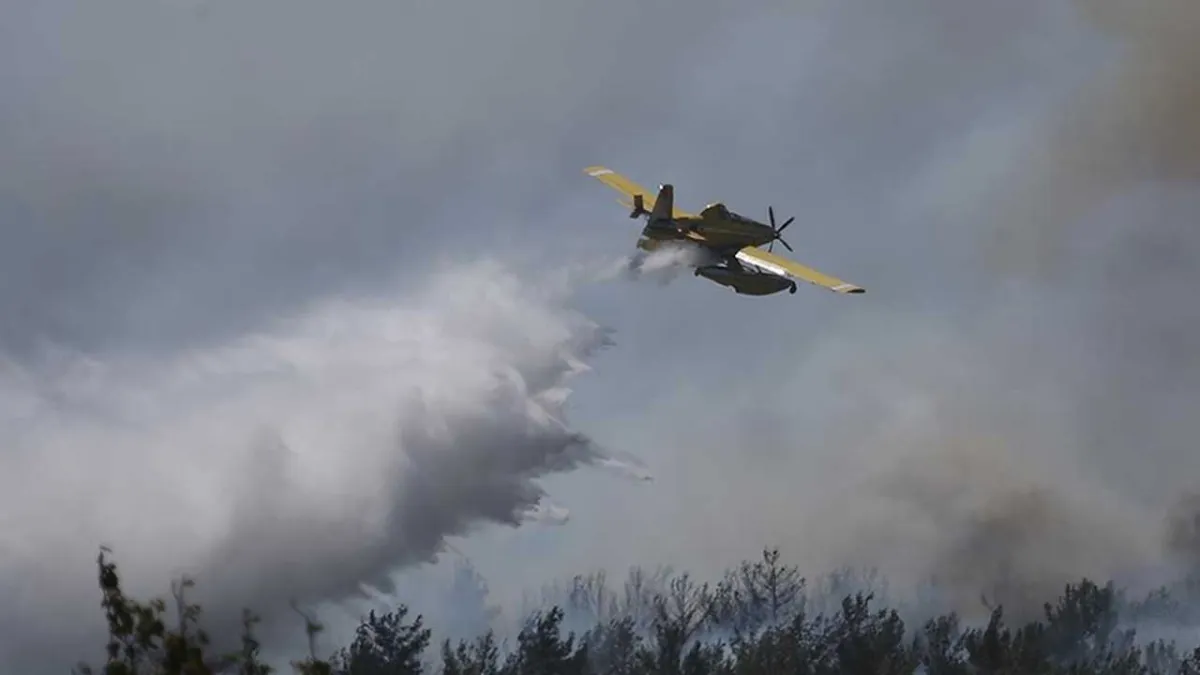 Orman Genel Müdürlüğü'ne ait uçakla irtibat kesildi haberinin görseli