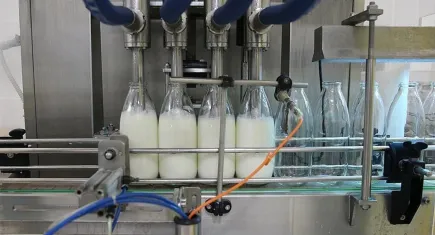 Tavuk eti ve süt üretimi azaldı, yumurta üretimi arttı