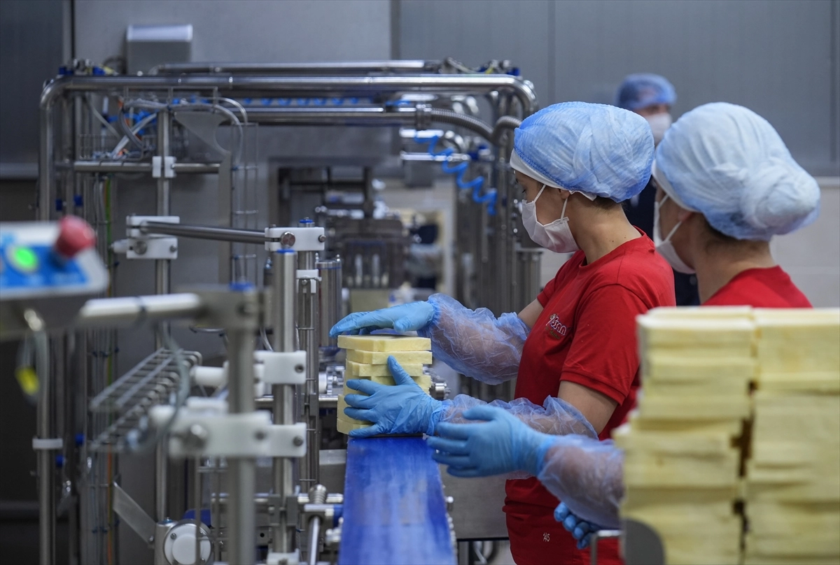 TKDK Hibeleri İzmir Süt İşleme Tesislerini Güçlendiriyor başlıklı video haberin görseli