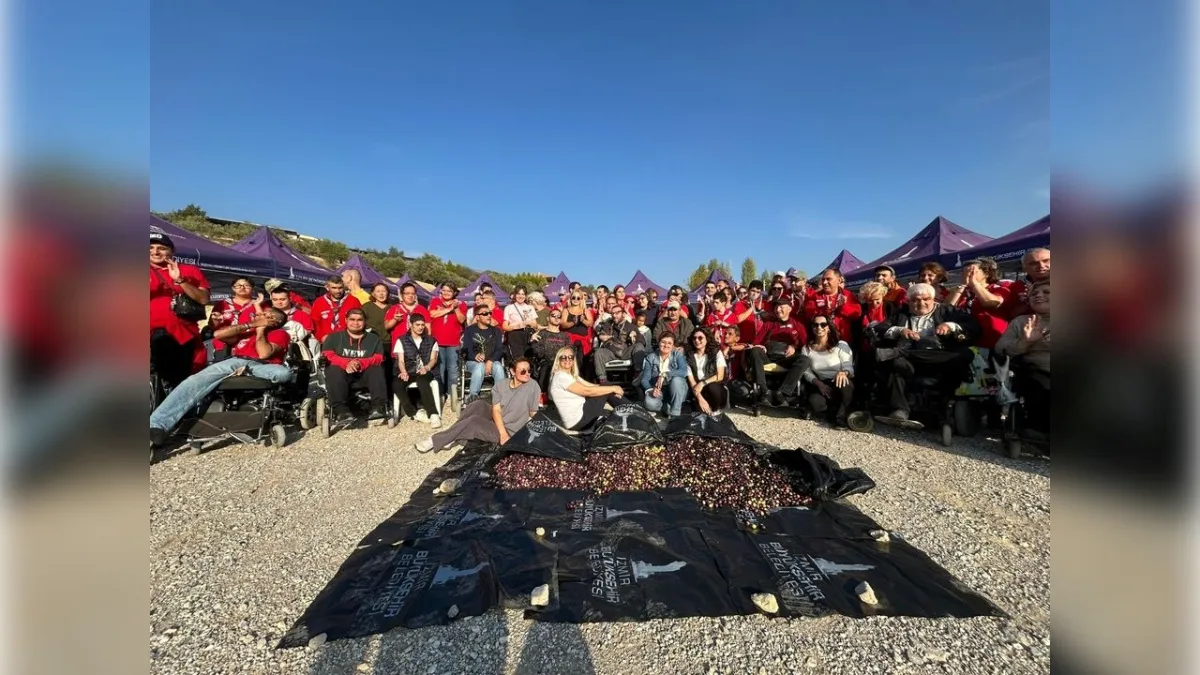 Zeytin hasadına onlar da katıldı haberinin görseli