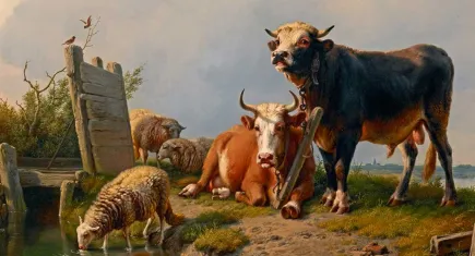 Acısız Kesim Derneği ve HAYTAP’tan ortak çağrı