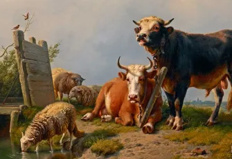 Acısız Kesim Derneği ve HAYTAP’tan ortak çağrı