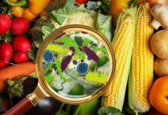 İstanbul'da yedikleri gıdadan zehirlenip ölen aileden sonra gündem gıda zehirlenmesi oldu! Gıda zehirlenmesi nedir? Nasıl anlaşılır?