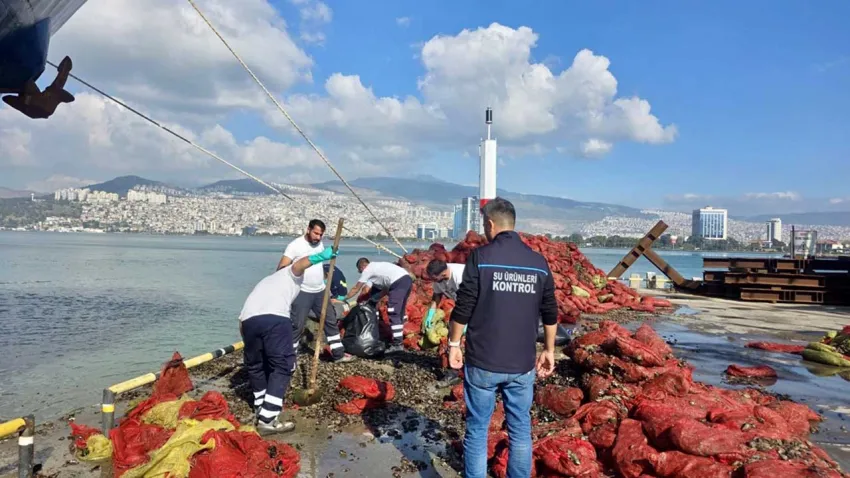 İzmir'de kaçak avlanan 27 ton midye ele geçirildi