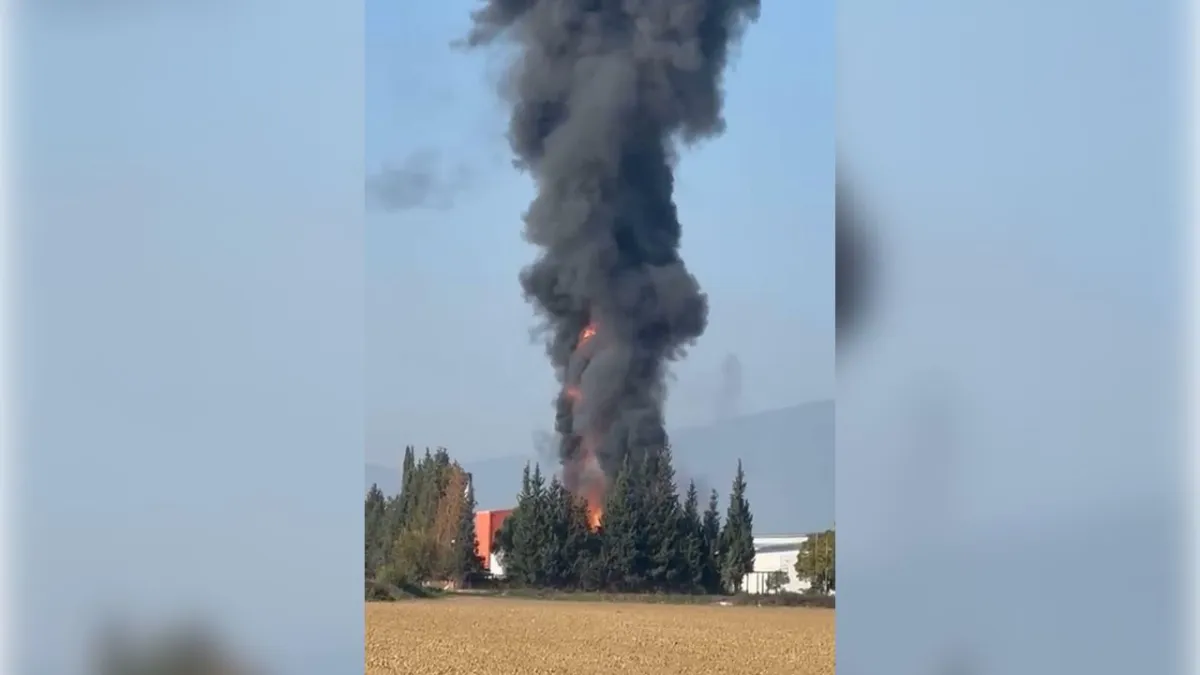 İzmir haber: Salça fabrikasında yangın haberinin görseli