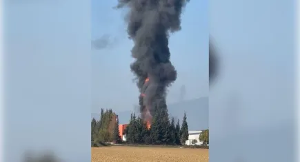 İzmir haber: Salça fabrikasında yangın