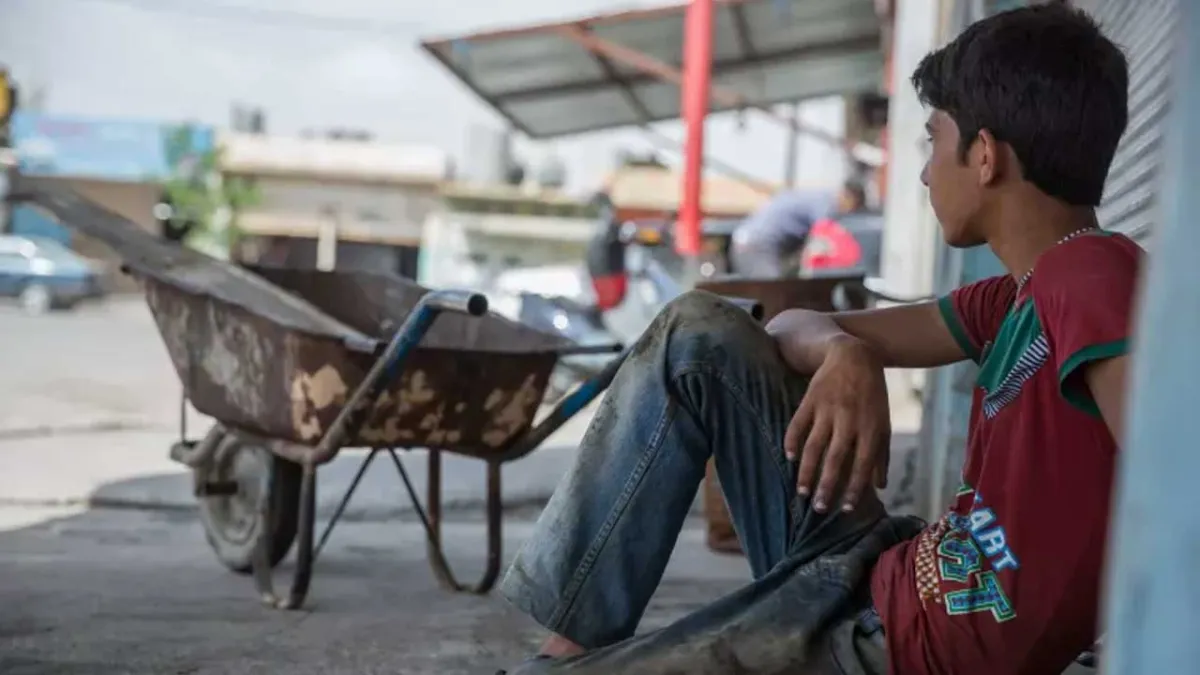 Veli-Der: Geleceğimiz için çocuk işçiliğine, yoksulluğuna dur de haberinin görseli