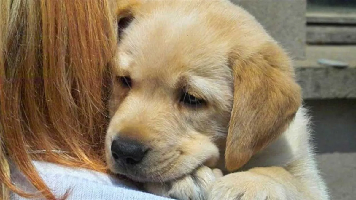 Konak Belediyesi’nden anlamlı ve eğlenceli sahiplendirme etkinliği  haberinin görseli