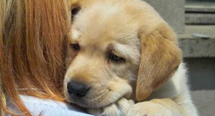 Konak Belediyesi’nden anlamlı ve eğlenceli sahiplendirme etkinliği 