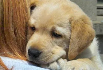 Konak Belediyesi’nden anlamlı ve eğlenceli sahiplendirme etkinliği 