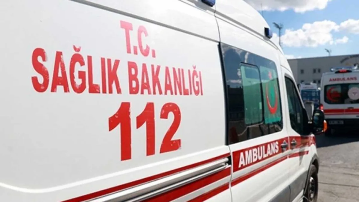 Menemen'de kahreden yangın:  30 kedisiyle birlikte hayatını kaybetti haberinin görseli