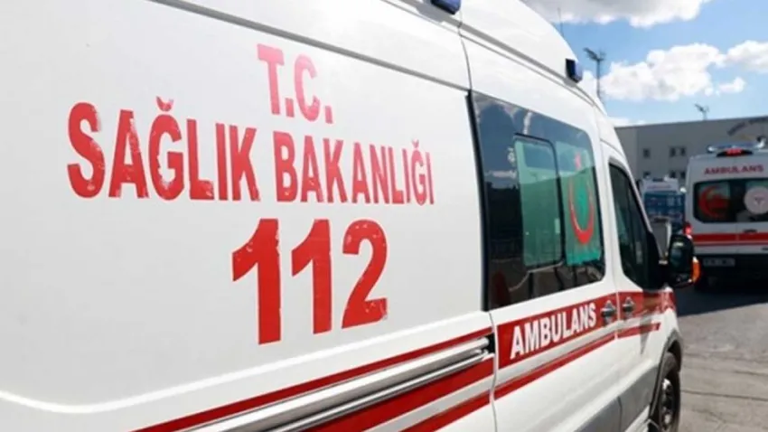 Menemen'de kahreden yangın:  30 kedisiyle birlikte hayatını kaybetti