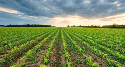 Toprak yatırımında dengeler değişti: En çok kazandıran ve kaybettiren iller açıklandı