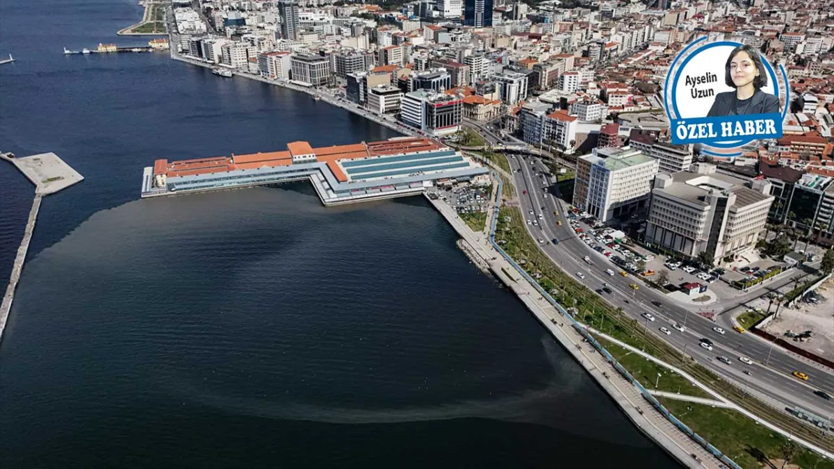 Uzmanlar gıda zehirlenmesi konusunda uyardı:  Körfez kirliyse midye de kirlidir haberinin görseli