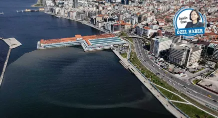 Uzmanlar gıda zehirlenmesi konusunda uyardı:  Körfez kirliyse midye de kirlidir