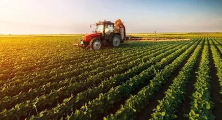 Çiftçinin ekim ayı enflasyonu belli oldu