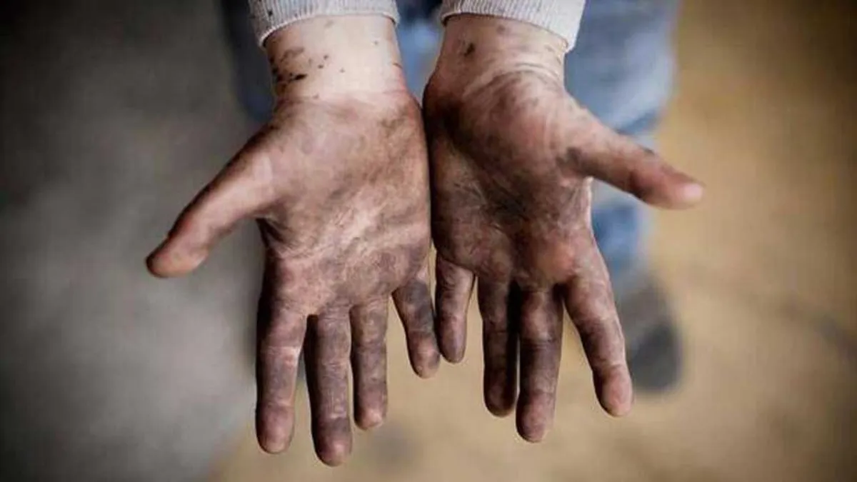 İnsan Hakları Aktivisti Hacer Foggo’dan çocuk işçiliğine tepki: Artık yeter haberinin görseli