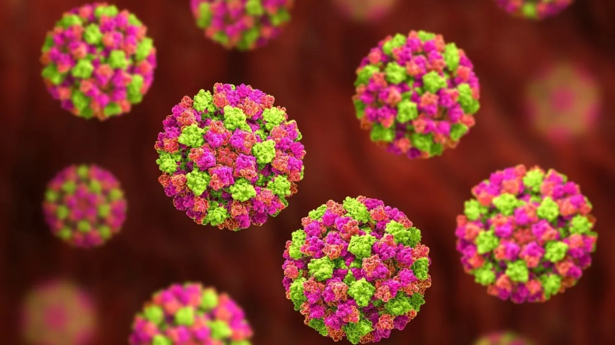 Kış kapıda, tehlike sessizce yayılıyor: Norovirüs vakalarında çarpıcı artış! haberinin görseli